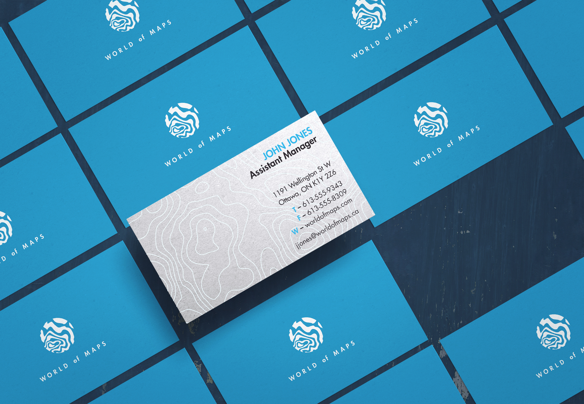 Business cards from the World of Maps Logo Standards Guide